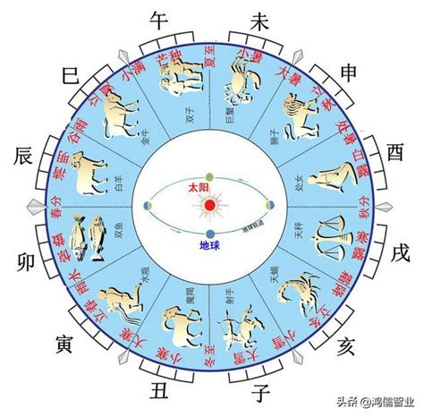 十二地支屬性|一張圖搞懂天干地支與陰陽五行的關係